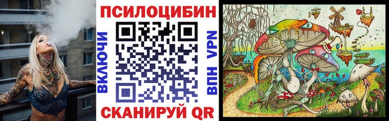 Псилоцибиновые грибы Psilocybe Дудинка