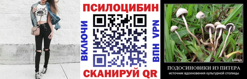 купить наркотик  Дудинка  Галлюциногенные грибы Magic Shrooms 
